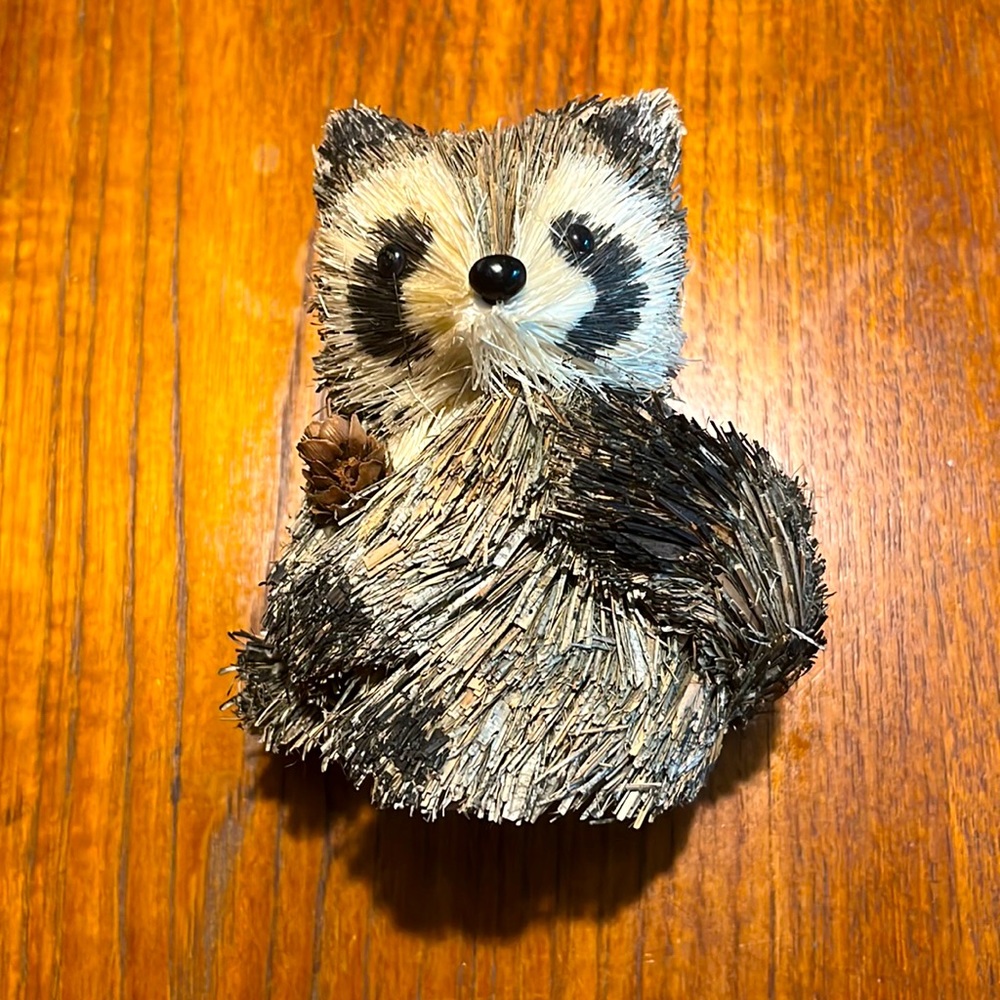 Novelty raccoon accessory